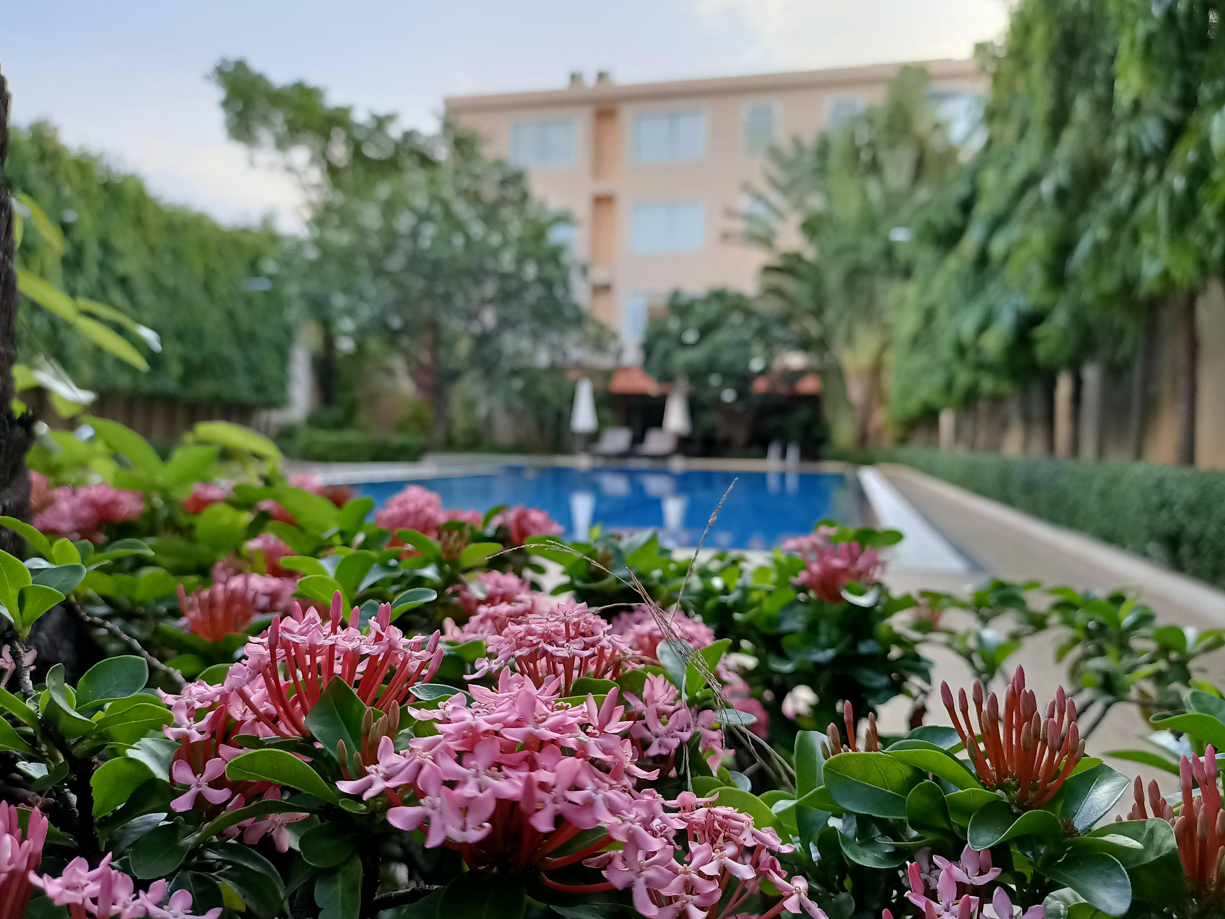 Starry Angkor Hotel Сиемрип Экстерьер фото